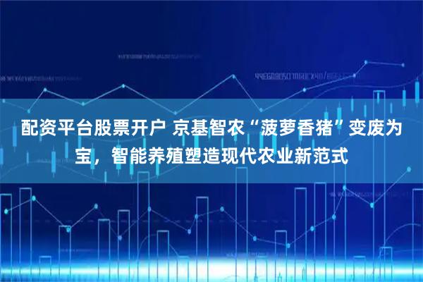 配资平台股票开户 京基智农“菠萝香猪”变废为宝，智能养殖塑造现代农业新范式